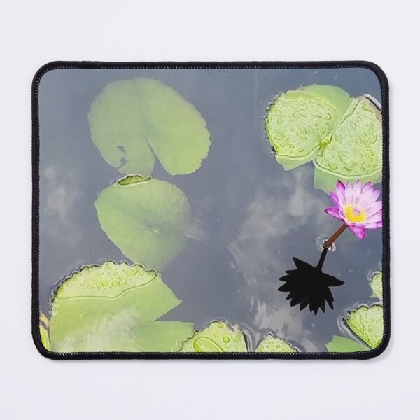 Item preview, lotus bloom, REAL photograph designed and sold by GiSilver.