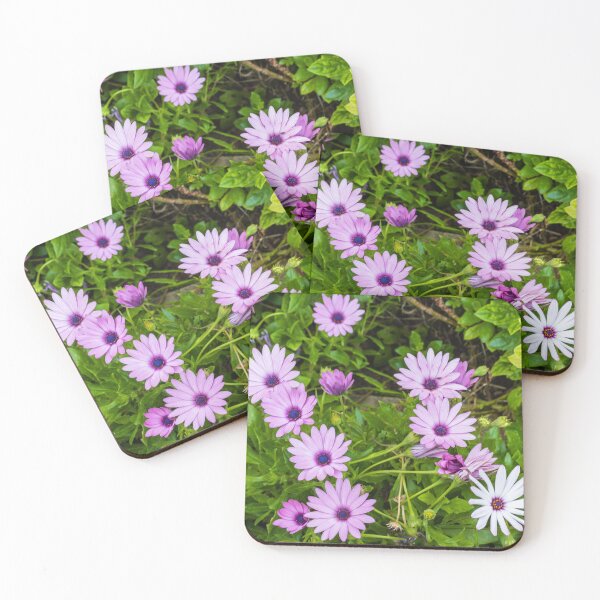 Item preview, Purple Daisy Flowers Clustered Among Green Leaves in a Vibrant Garden Close-Up designed and sold by Nmallia.