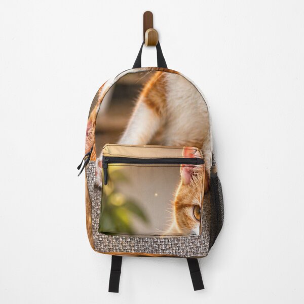 Item preview, Golden Glow Kitten – Magical Ginger Cat with Light Trails designed and sold by Kimberly Palmer.
