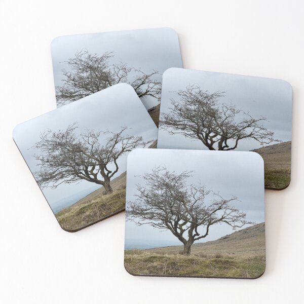 Item preview, Gnarled Tree designed and sold by jamesgerardking.