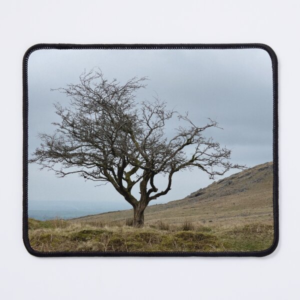 Item preview, Gnarled Tree designed and sold by jamesgerardking.