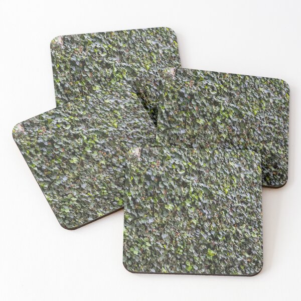 Item preview, Green Ivy-Covered Wall With Dense Climbing Vines And Textured Leaf Pattern Background designed and sold by Nmallia.