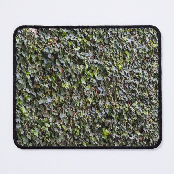 Item preview, Green Ivy-Covered Wall With Dense Climbing Vines And Textured Leaf Pattern Background designed and sold by Nmallia.
