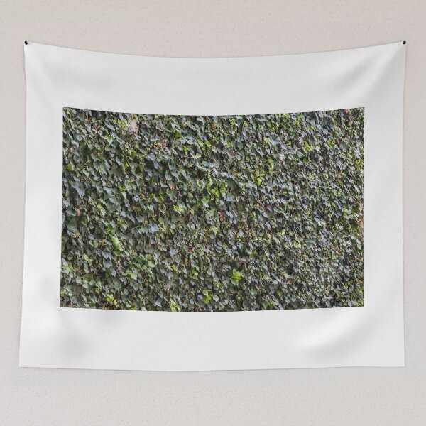 Item preview, Green Ivy-Covered Wall With Dense Climbing Vines And Textured Leaf Pattern Background designed and sold by Nmallia.