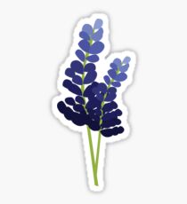 Bluebonnets Sticker