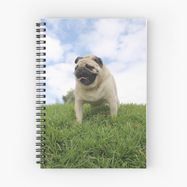 Item preview, Pug: Character and Folds designed and sold by JhonBotanicalAr.