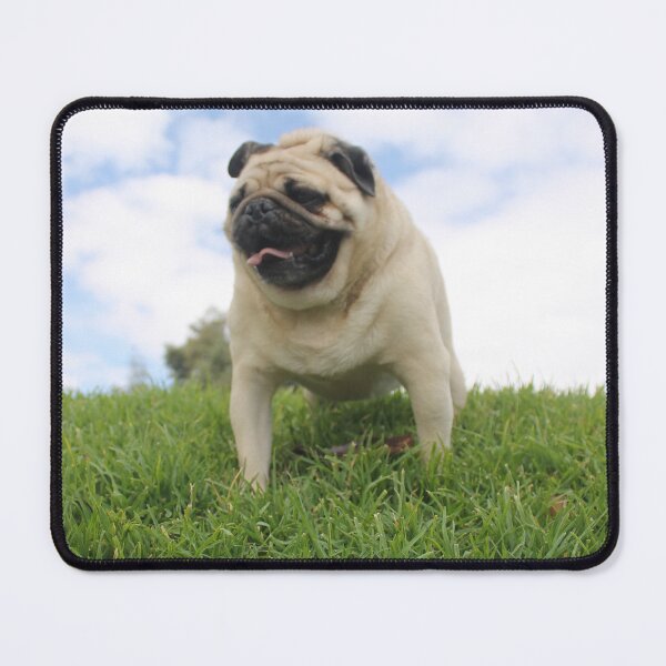 Item preview, Pug: Character and Folds designed and sold by JhonBotanicalAr.