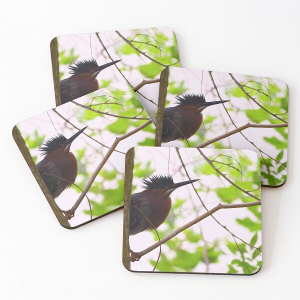 Item preview, Surprised Green Heron in a Tree designed and sold by Pondside-Pics.