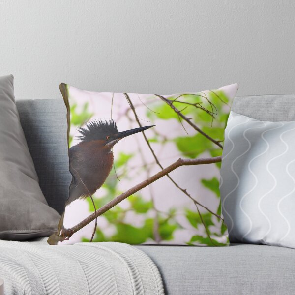 Item preview, Surprised Green Heron in a Tree designed and sold by Pondside-Pics.