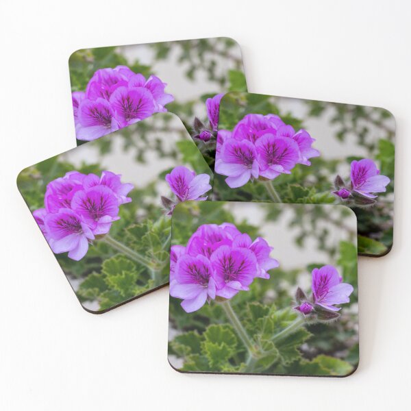 Item preview, Purple Geranium Flowers in Bloom With Green Foliage Close-Up Garden Macro Photograph designed and sold by Nmallia.