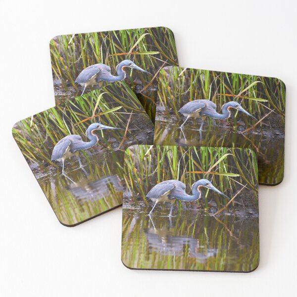 Item preview, Tricolor Heron Hunting for Fish designed and sold by Pondside-Pics.