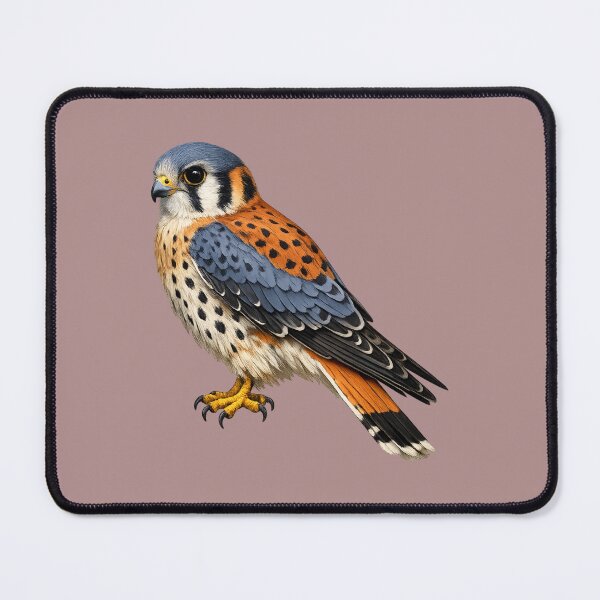 Item preview, Kestrel bird designed and sold by RAMIRELLI.