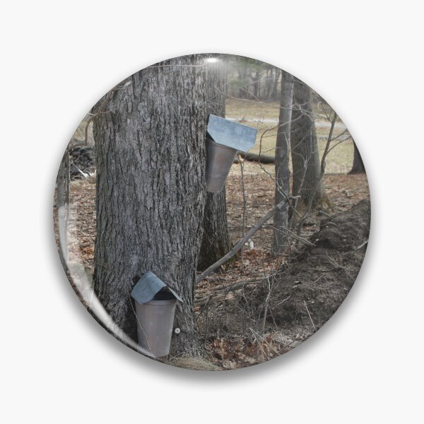 Item preview, Maple Trap designed and sold by MatthewThomasDaniels.