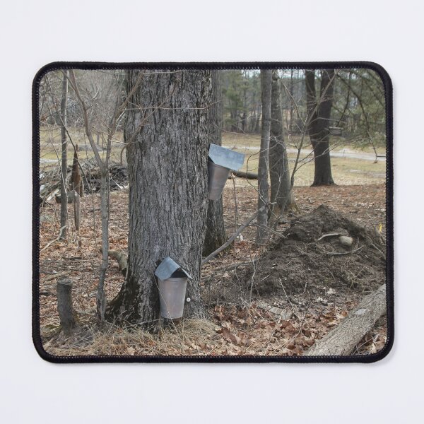 Item preview, Maple Trap designed and sold by MatthewThomasDaniels.