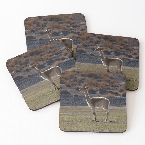 Item preview, Vicuna in the Argentine Puna at Sunset designed and sold by Keltoi-art.