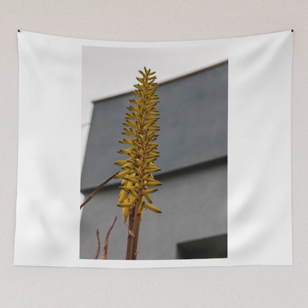 Item preview, Yellow Aloe Flower Spike Against Modern Gray Building Urban Architecture Vertical Close-Up designed and sold by Nmallia.