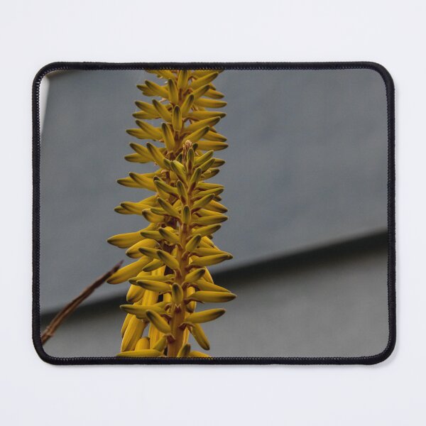 Item preview, Yellow Aloe Flower Spike Against Modern Gray Building Urban Architecture Vertical Close-Up designed and sold by Nmallia.