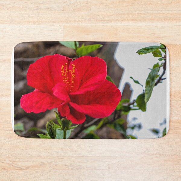 Item preview, Vibrant Red Hibiscus Flower Blooming Amid Green Leaves On Outdoor Tropical Plant designed and sold by Nmallia.