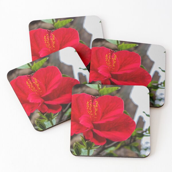 Item preview, Vibrant Red Hibiscus Flower Blooming Amid Green Leaves On Outdoor Tropical Plant designed and sold by Nmallia.