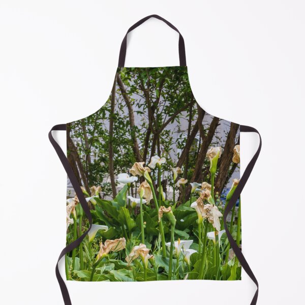 Item preview, White Calla Lilies Blooming and Wilting in Shaded Garden With Green Foliage and Trees designed and sold by Nmallia.