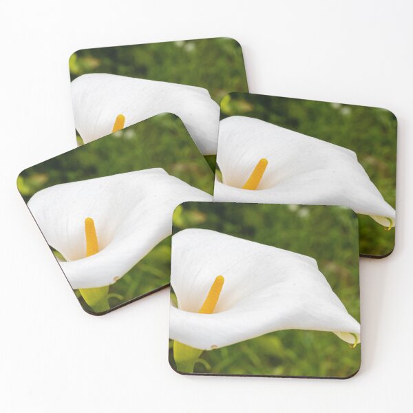 Item preview, Close-Up White Calla Lily With Yellow Spadix In Garden Green Background designed and sold by Nmallia.