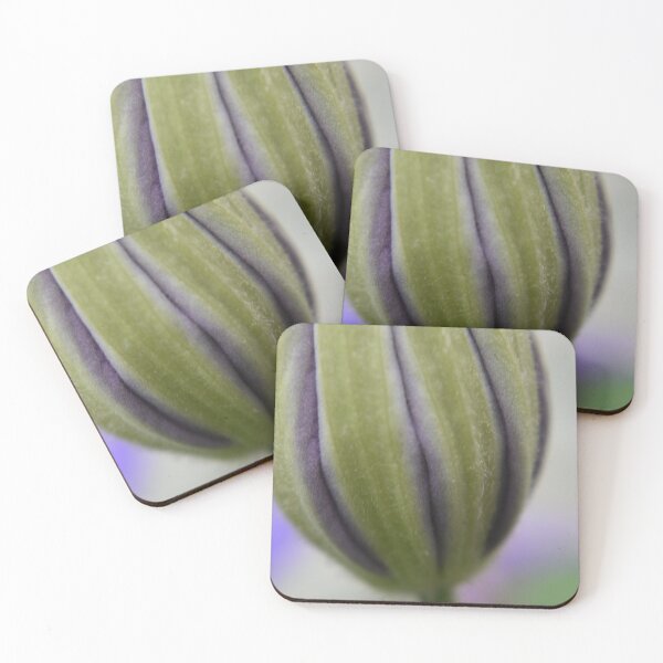 Item preview, Clematis Bud designed and sold by Tonia Delozier's Photography .