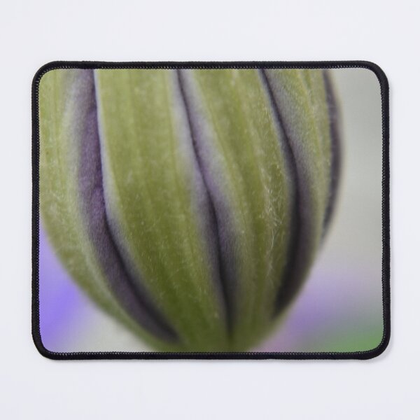 Item preview, Clematis Bud designed and sold by Tonia Delozier's Photography .