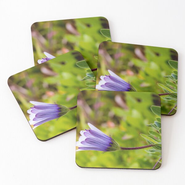 Item preview, Close-Up Purple Daisy Bud in Garden With Green Leaves and Soft Background designed and sold by Nmallia.