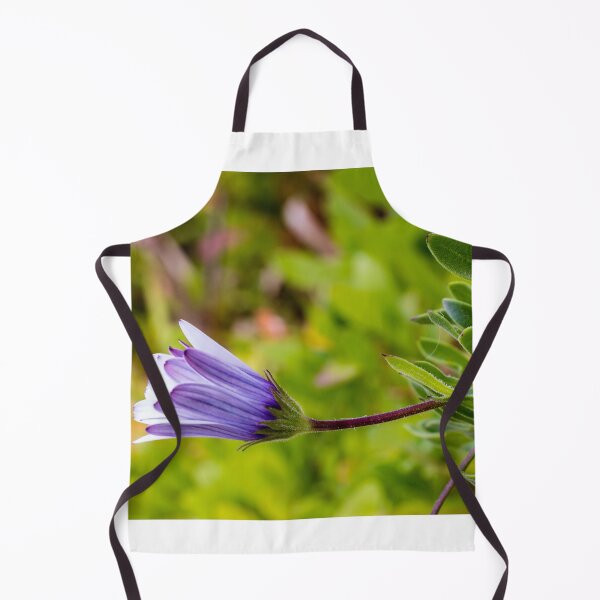 Item preview, Close-Up Purple Daisy Bud in Garden With Green Leaves and Soft Background designed and sold by Nmallia.