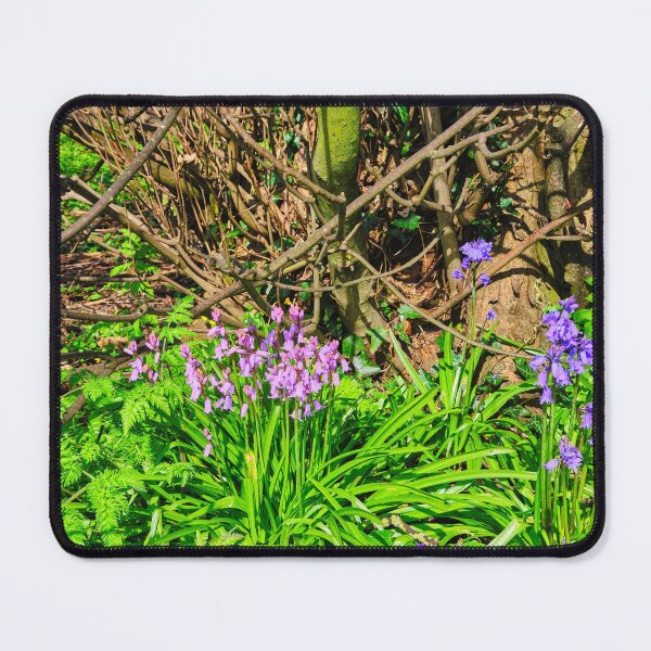 Item preview, Two shades of Bluebells in English Woodland. designed and sold by Violaman.
