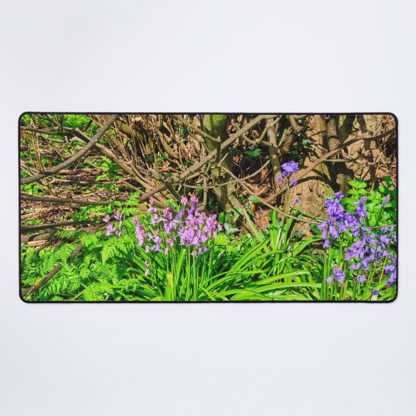 Item preview, Two shades of Bluebells in English Woodland. designed and sold by Violaman.