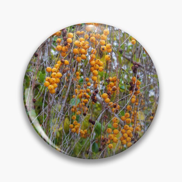 Item preview, Closeup Hanging Orange Berries On Thin Vines With Green Leaves Autumn Nature Texture designed and sold by Nmallia.