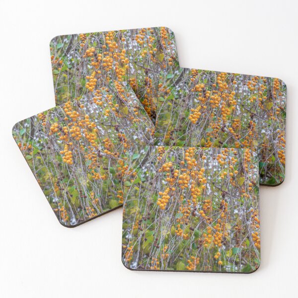 Item preview, Closeup Hanging Orange Berries On Thin Vines With Green Leaves Autumn Nature Texture designed and sold by Nmallia.