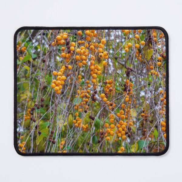 Item preview, Closeup Hanging Orange Berries On Thin Vines With Green Leaves Autumn Nature Texture designed and sold by Nmallia.