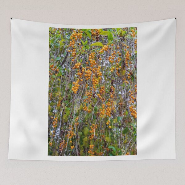 Item preview, Closeup Hanging Orange Berries On Thin Vines With Green Leaves Autumn Nature Texture designed and sold by Nmallia.