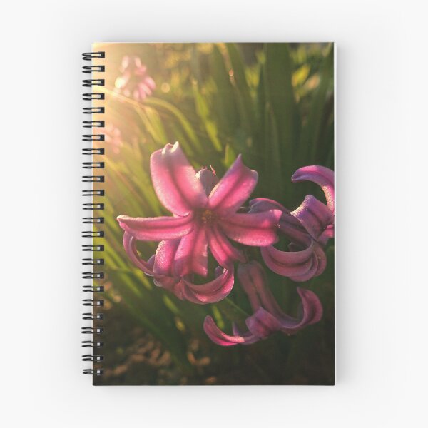 Item preview, Pink hyacinth in detail designed and sold by Enerjetal.