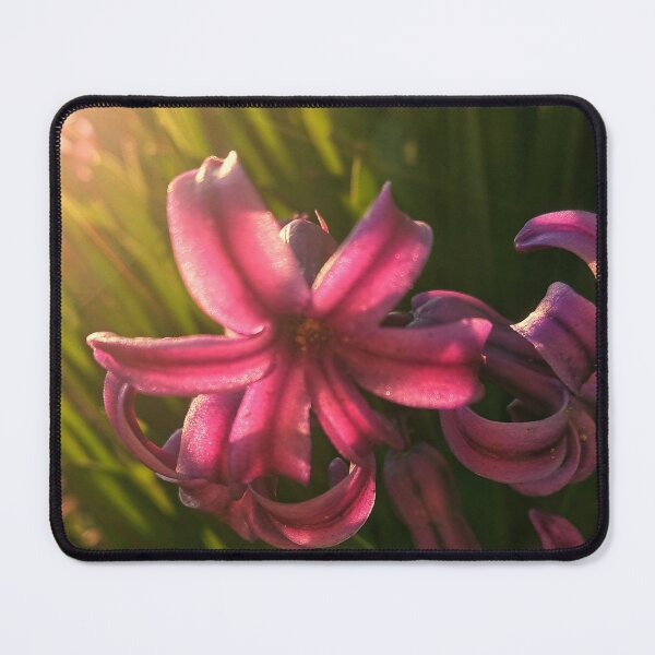 Item preview, Pink hyacinth in detail designed and sold by Enerjetal.