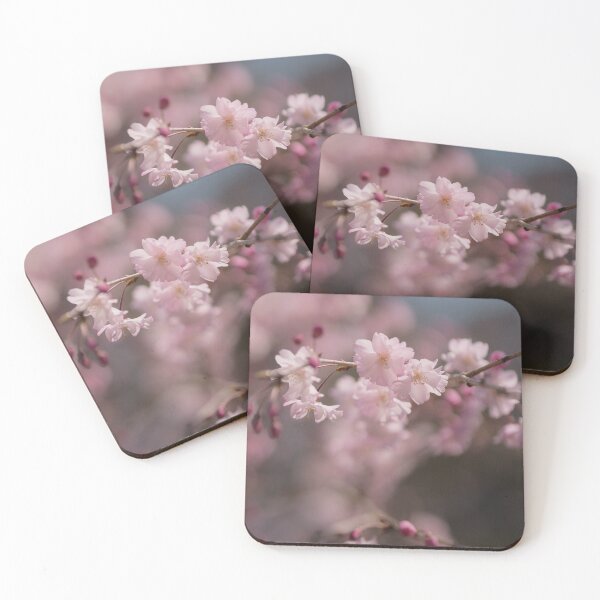 Item preview, Delicate Sakura in Bloom — Tochigi Japan designed and sold by Akquired Taste.
