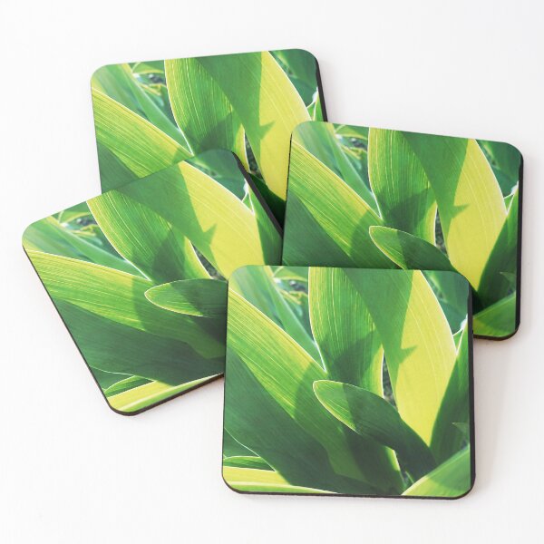 Item preview, Green leaves of young irises designed and sold by Enerjetal.