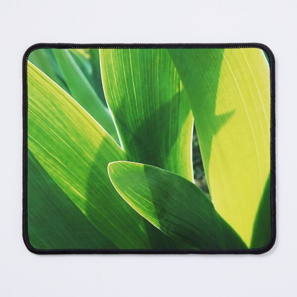 Item preview, Green leaves of young irises designed and sold by Enerjetal.