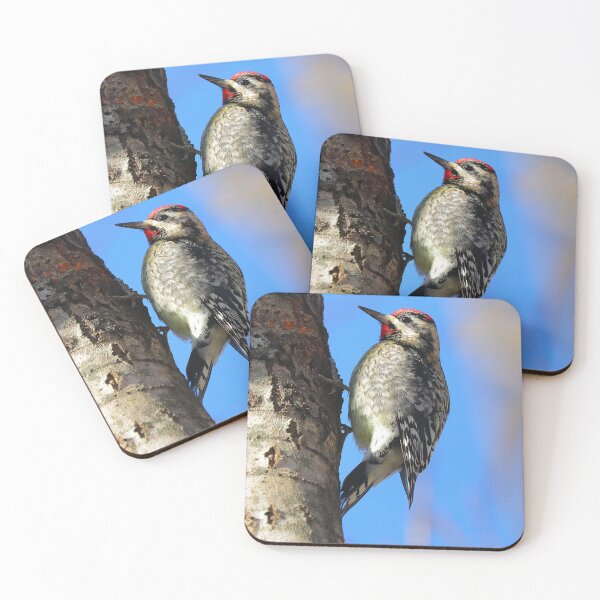 Item preview, Woodpecker  designed and sold by Parks and X.