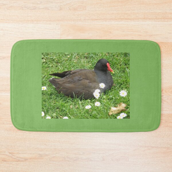 Item preview, Moorhen and Daisy Flowers Photograph designed and sold by naturegallery.