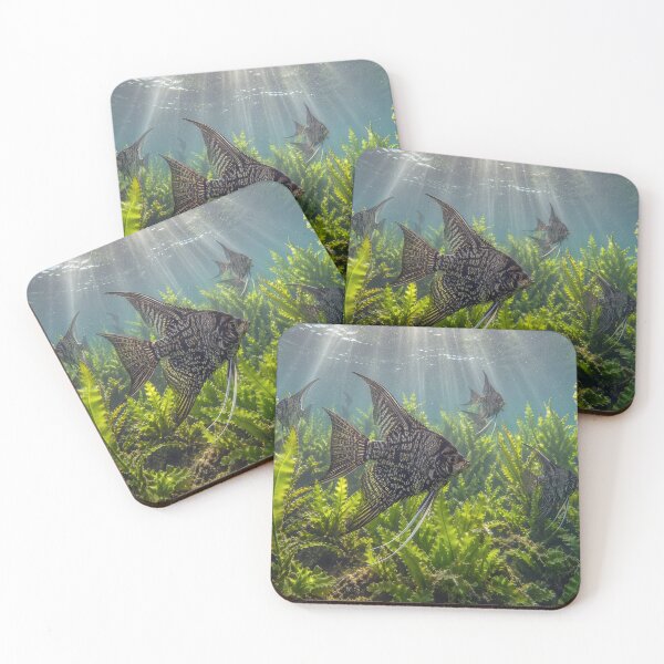 Item preview, Black Lace Angelfish in Seaweed designed and sold by Maria Dryfhout.