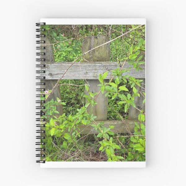 Item preview, Backyard Nature 2 designed and sold by Dwite Murfin.