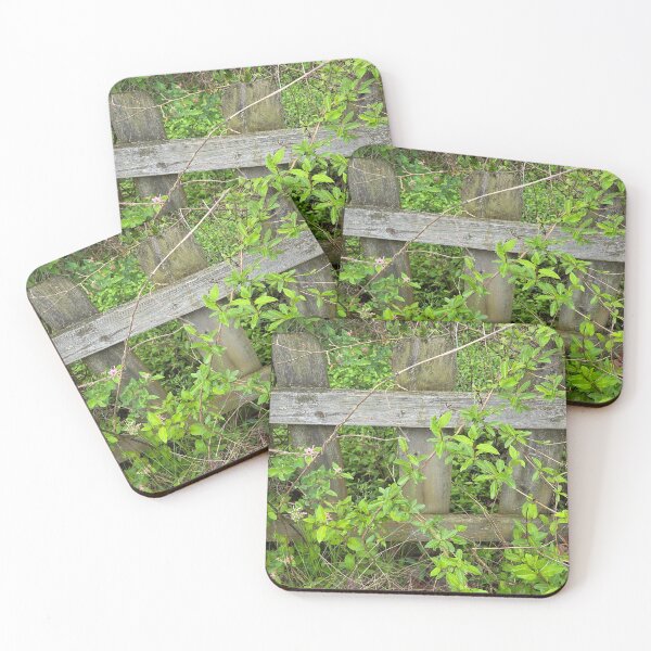 Item preview, Backyard Nature 2 designed and sold by Dwite Murfin.