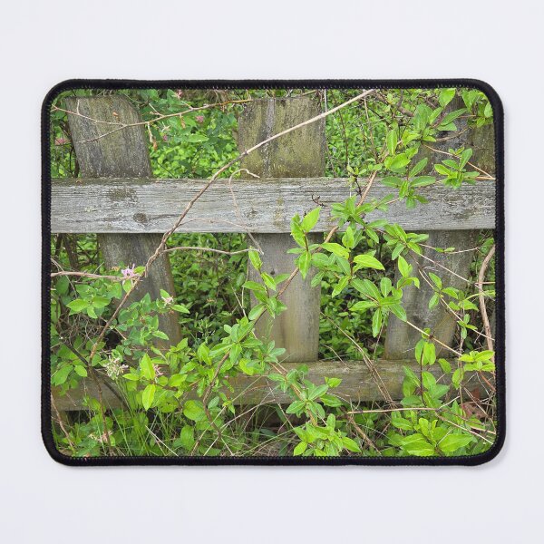 Item preview, Backyard Nature 2 designed and sold by Dwite Murfin.