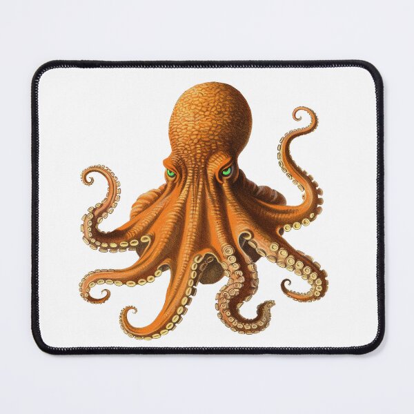 Item preview, Scary Orange Octopus Sea Monster designed and sold by Chris Winn.