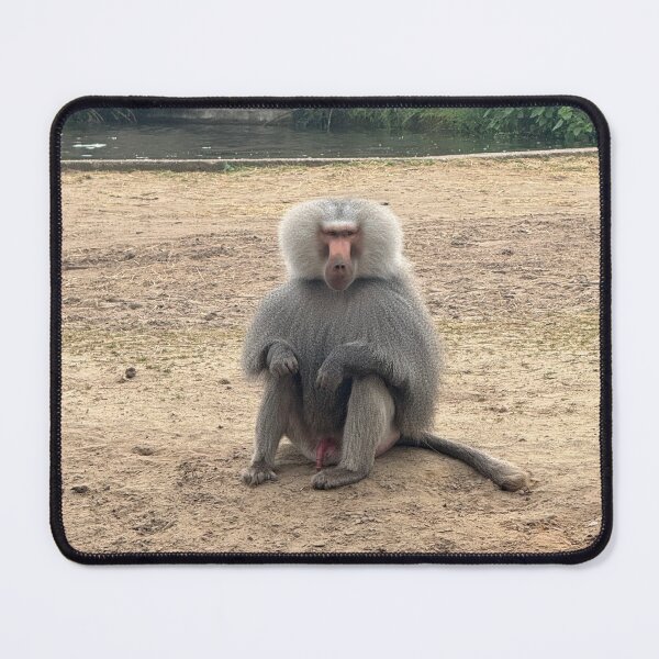 Item preview, Baboon is looking at you unimpressed designed and sold by LIANNT84.