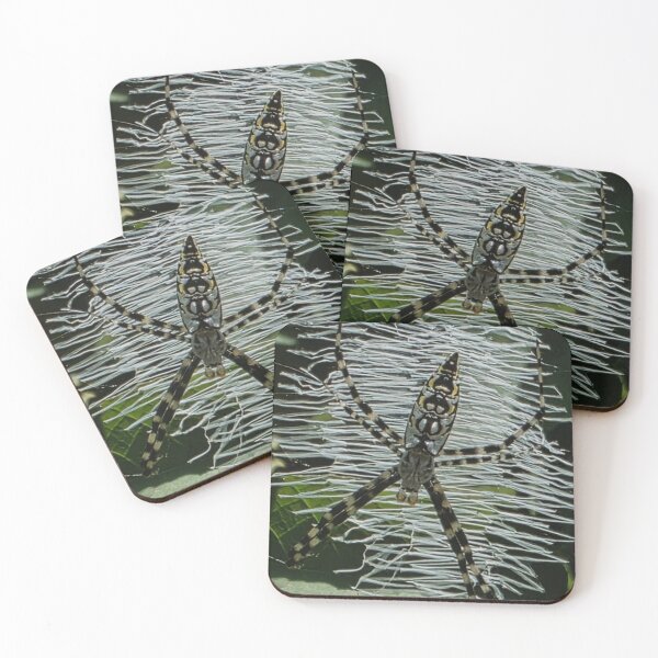Item preview, Spider photo designed and sold by Jillybean1060.