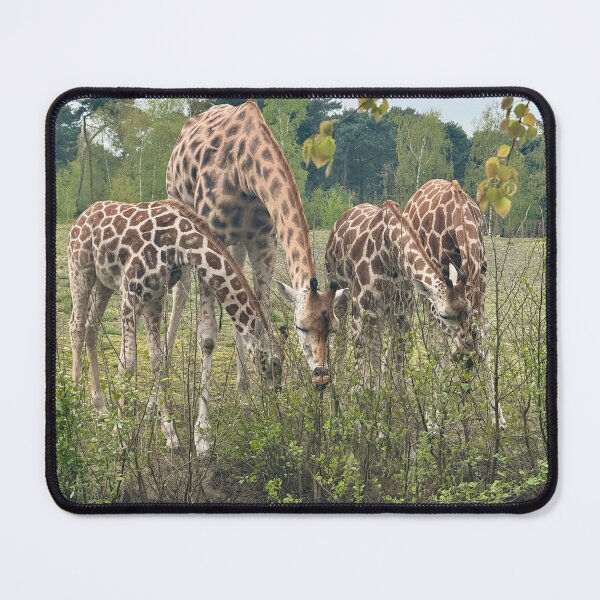 Item preview, Giraffe family having their lunch  designed and sold by LIANNT84.